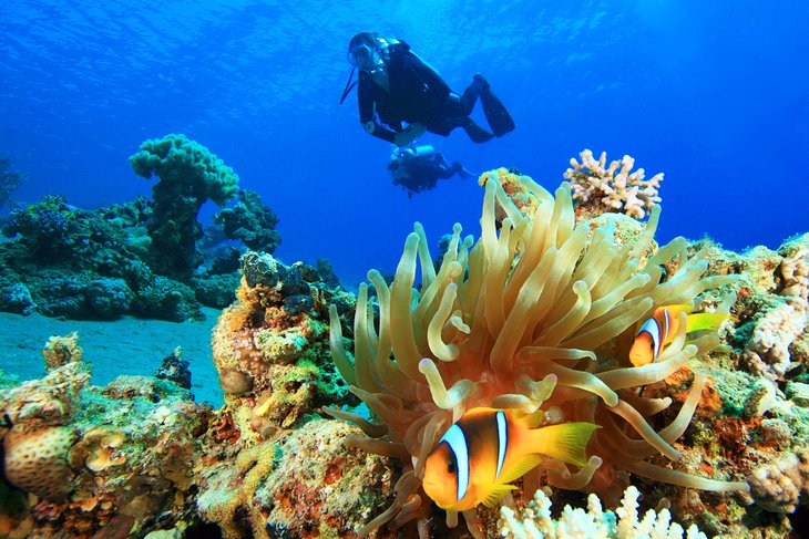 egypt-top-attractions-diving-red-sea